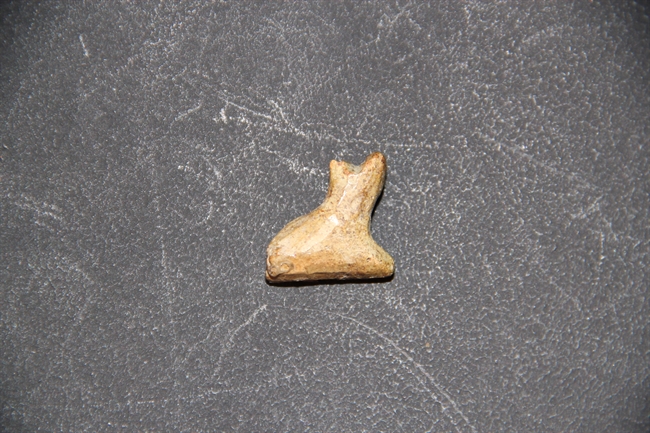 Amulet of the cat